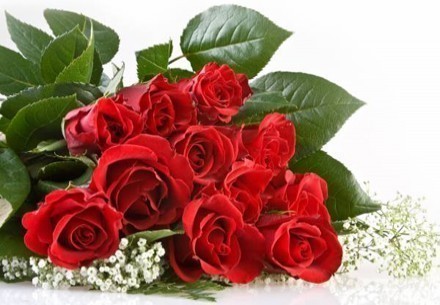 Разыгрывается: Букет из 25 роз от салона цветов и подарков «Dari»