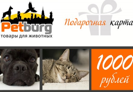 Разыгрывается: Подарочная карта на 1000 рублей от сети зоомагазинов «PETBURG» 