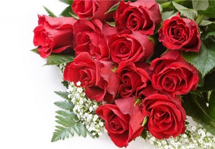 Разыгрывается: Три букета по 11 роз от салона цветов и подарков «Dari» 